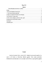 Referāts 'ASV konkurētspēja', 2.