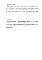 Referāts 'ASV konkurētspēja', 12.