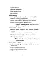 Prakses atskaite 'Studiju pētnieciskā prakse izglītības darba vadībā ', 23.