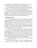 Konspekts 'Jāņa Pāvila II apustuliskā vēstule "Salvifici doloris" ("Svētīgās ciešanas")', 5.