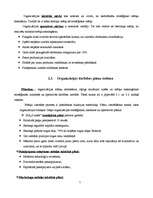 Referāts 'SIA "Dukāts" darbības pilnveide (kursa projekts, novērtēts uz 10)', 5.