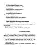 Referāts 'SIA "Dukāts" darbības pilnveide (kursa projekts, novērtēts uz 10)', 6.