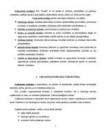 Referāts 'SIA "Dukāts" darbības pilnveide (kursa projekts, novērtēts uz 10)', 7.