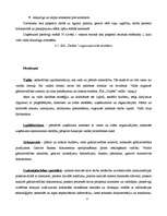 Referāts 'SIA "Dukāts" darbības pilnveide (kursa projekts, novērtēts uz 10)', 8.