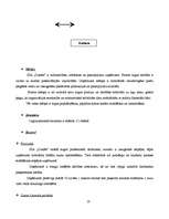 Referāts 'SIA "Dukāts" darbības pilnveide (kursa projekts, novērtēts uz 10)', 10.