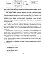 Referāts 'SIA "Dukāts" darbības pilnveide (kursa projekts, novērtēts uz 10)', 19.