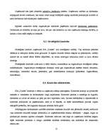 Referāts 'SIA "Dukāts" darbības pilnveide (kursa projekts, novērtēts uz 10)', 25.