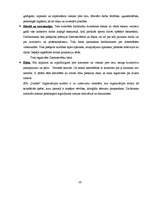 Referāts 'SIA "Dukāts" darbības pilnveide (kursa projekts, novērtēts uz 10)', 30.