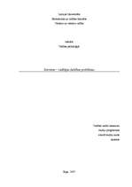 Referāts 'Sievietes-līderes darbības problēmas', 1.