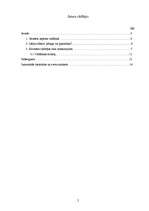 Referāts 'Sievietes-līderes darbības problēmas', 2.