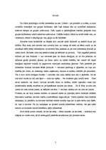 Referāts 'Sievietes-līderes darbības problēmas', 3.