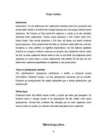 Biznesa plāns 'Biznesa plāns par sporta veikalu', 4.