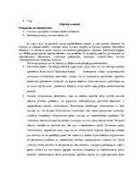 Referāts 'Ogres kā kultūras tūrisma galamērķa attīstība', 8.