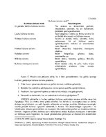 Referāts 'Ogres kā kultūras tūrisma galamērķa attīstība', 13.