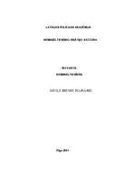 Referāts 'Viegls miesas bojājums', 1.