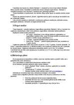 Biznesa plāns 'SIA "A-Audio"', 2.