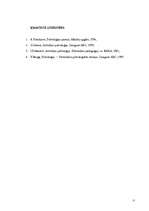 Referāts 'Attīstības teorijas', 17.