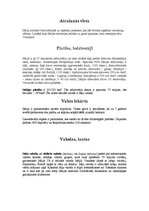 Konspekts 'Itālija', 3.