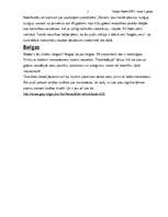 Referāts 'Homoseksuālisms', 5.