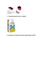 Referāts 'Armētās, slāņainās un gāzpildītās plastmasas', 8.