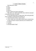 Referāts 'Grāmatvedības uzskaites organizācija uzņēmumā', 8.