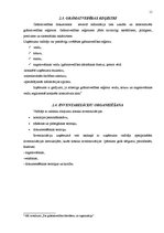 Referāts 'Grāmatvedības uzskaites organizācija uzņēmumā', 11.