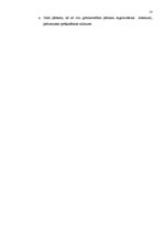 Referāts 'Grāmatvedības uzskaites organizācija uzņēmumā', 13.