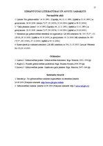 Referāts 'Grāmatvedības uzskaites organizācija uzņēmumā', 17.