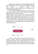 Referāts 'Zīmols', 6.