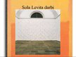 Prezentācija 'Sols Levits', 3.