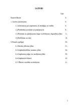 Biznesa plāns 'IK "Margrietiņa"', 2.