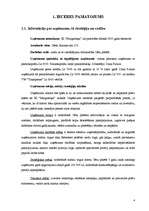 Biznesa plāns 'IK "Margrietiņa"', 4.