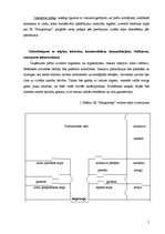 Biznesa plāns 'IK "Margrietiņa"', 5.