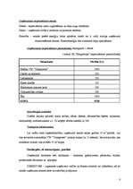 Biznesa plāns 'IK "Margrietiņa"', 6.