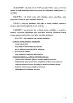 Biznesa plāns 'IK "Margrietiņa"', 7.