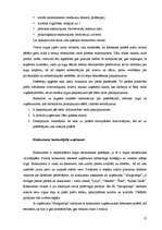 Biznesa plāns 'IK "Margrietiņa"', 13.