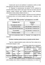 Biznesa plāns 'IK "Margrietiņa"', 16.