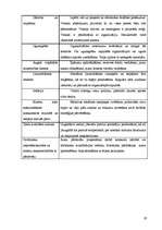 Biznesa plāns 'IK "Margrietiņa"', 19.