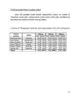 Biznesa plāns 'IK "Margrietiņa"', 23.