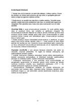 Referāts 'Siltumizolācijas materiāli', 10.