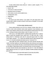 Referāts 'Viesnīcu pakalpojumu raksturojums un viesnīcu nozare Latvijā', 19.