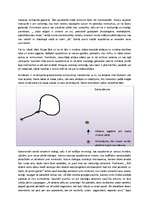 Konspekts 'Prozas analīze Alberta Bela romānam "Saknes"', 3.