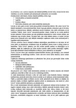 Referāts 'Baltijas valstu mazumtirdzniecības tīkla "Rimi Latvia" izpēte', 13.