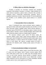 Referāts 'Mākslīgā intelekta ieviešana un ietekme uz MVE produktivitāti', 6.