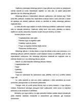 Eseja 'Kā es rīkotos, ja es būtu atbildīga par mārketinga pētījumiem', 2.