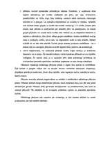 Eseja 'Kā es rīkotos, ja es būtu atbildīga par mārketinga pētījumiem', 4.