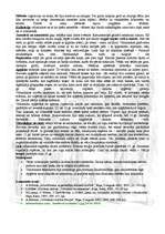 Referāts 'Viduslaiku sadzīve Rietumeiropā', 2.