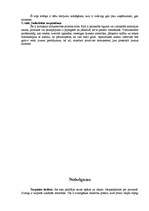 Referāts 'Tiešais mārketings', 14.