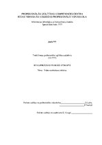 Referāts 'Video novērošanas kameras', 1.