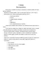 Biznesa plāns 'Biznesa plāns atpūtas kompleksam', 5.